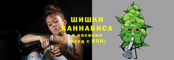 ПСИЛОЦИБИНОВЫЕ ГРИБЫ Баксан