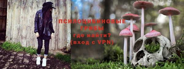 дмт Балахна