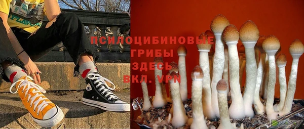 дмт Балахна