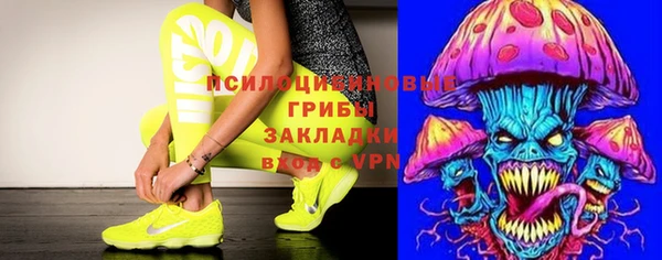ПСИЛОЦИБИНОВЫЕ ГРИБЫ Баксан